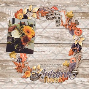 ~Autumn Flowers~