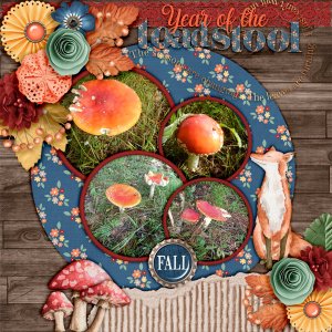 Year-of-the-toadstool