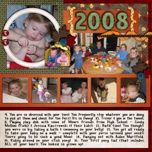 November 2008 2