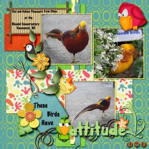Attitude-Birds