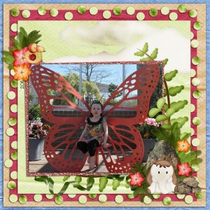 Butterfly Gardens