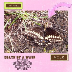 Death by a wasp