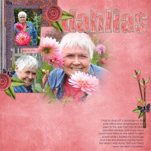153-08-11-DahliasByCFALBRO