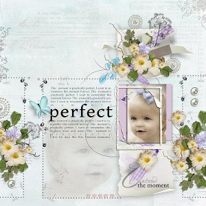Perfect Moment