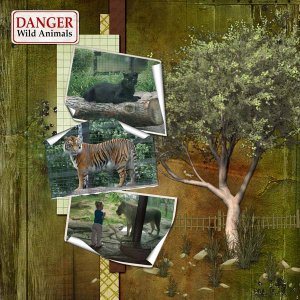 Danger Wild Animals