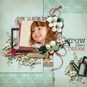 Grow Bloom Dream