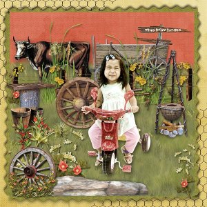 SWEET COUNTRY GIRL