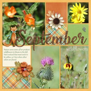 September Wildflowers