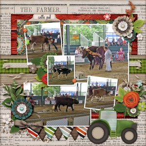 Cattle pull