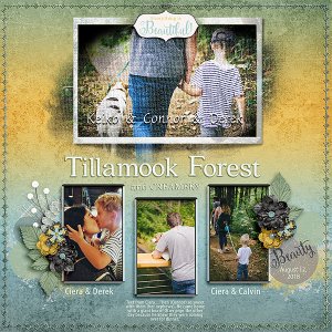 Tillamook Forest, OR