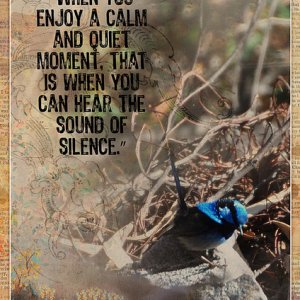 SOUND OF SILENCE