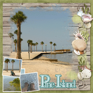 Pine Island
