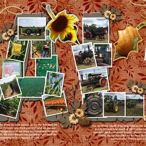 Corn Maze + Steam Show