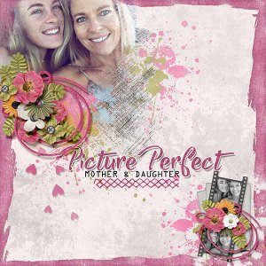 Picture Perfect