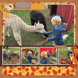 Animals at the Orchard