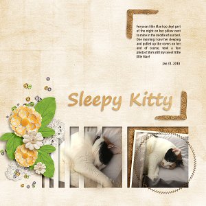 Sleepy Kitty