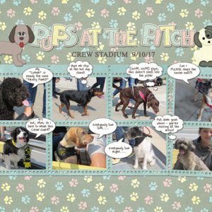 Pups at the Pitch