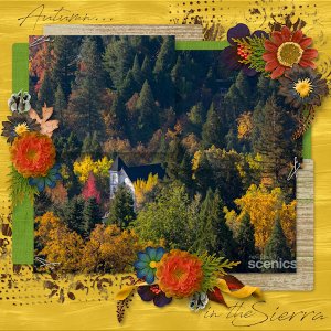 Fall in the Foothills