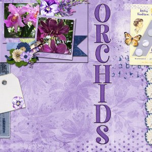 Orchids