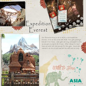 Animal Kingdom 2018 - Expedition Everest