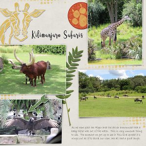Animal Kingdom 2018 - Safaris pg1