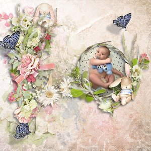Garden Of Dreams