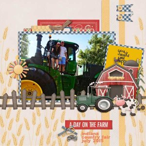 A Day On The Farm