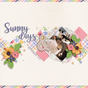 sunny days