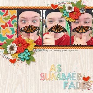 As Summer Fades