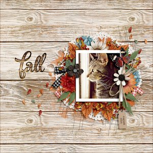 fall
