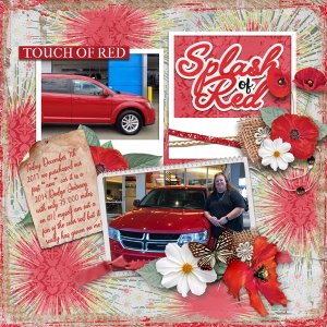 A Splash of Red