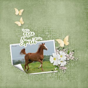 Free Spirit