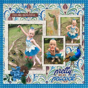 Pretty as a Peacock