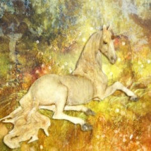 For the Love of Unicorns