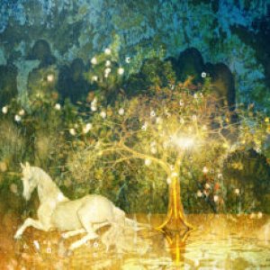 For the Love of Unicorns
