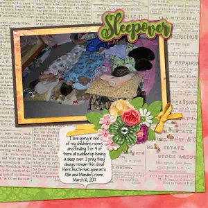 2011_march_16_sleep_over_web