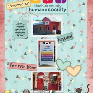 Volunteer Alachua County Humane Society