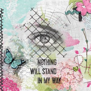 Nothing will stand in my way