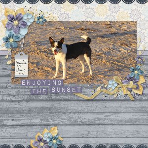 Dog at the Beach