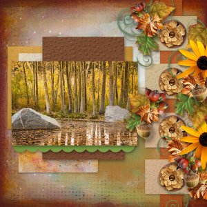 Beautiful Fall