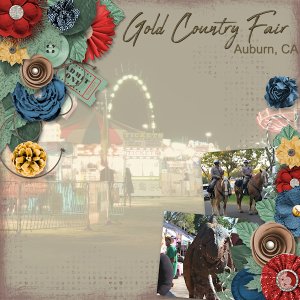 The Gold Country Fair