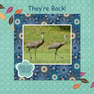 They're Back!