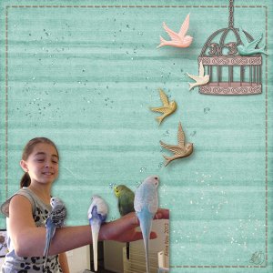Fly away