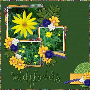 Wildflowers