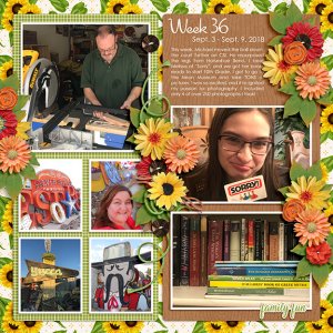 Week 36/52