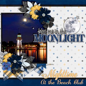 Meet-Me-In-The-Moonlight