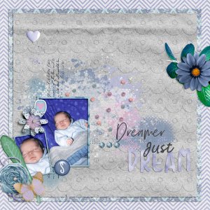 Dreamer Just Dream