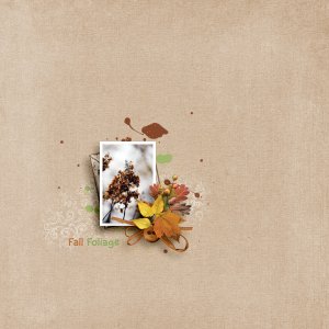 fall foliage