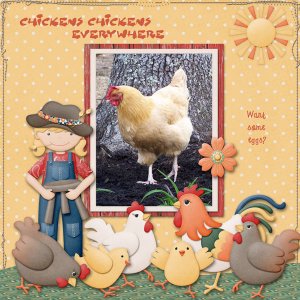 Chickens Everywhere
