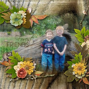 Forest Friends